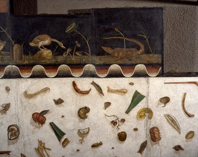 “Asarotos” (Pavimento non spazzato) Frammenti di mosaico firmati da Harakliton da Roma, II secolo d.C., Roma da Roman