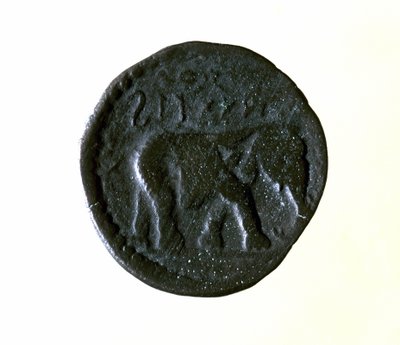 Moneta di Cartagine rappresentante un elefante. III o II secolo a.C. da Roman