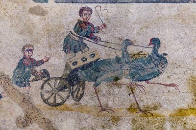 Corsa di carri con carte trainate da uccelli da Roman