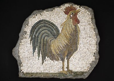 Gallo da Roman