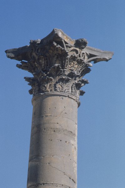 Colonna con capitello corinzio dal ninfeo, romano, II secolo da Roman