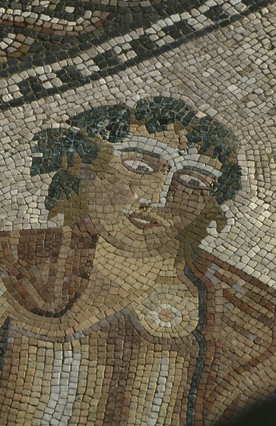 Dioniso scopre Arianna addormentata (dettaglio) da Roman