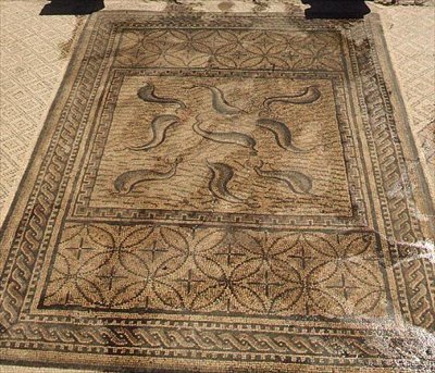 Delfini, mosaico romano dalla Casa di Orfeo, III secolo d.C. da Roman