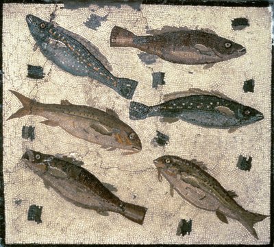 Pesce da Roman