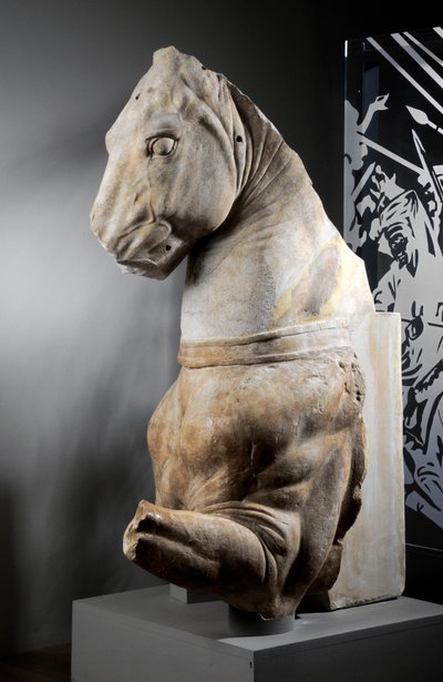 Parte anteriore di un cavallo da Roman