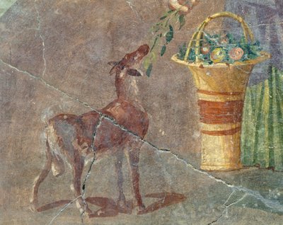 Capra e cesto di frutta, affresco da Pompei, Campania, Italia, Civiltà romana da Roman