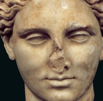 Testa di Apollo Sauroktonos (l