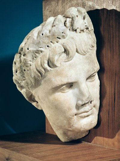 Testa dell