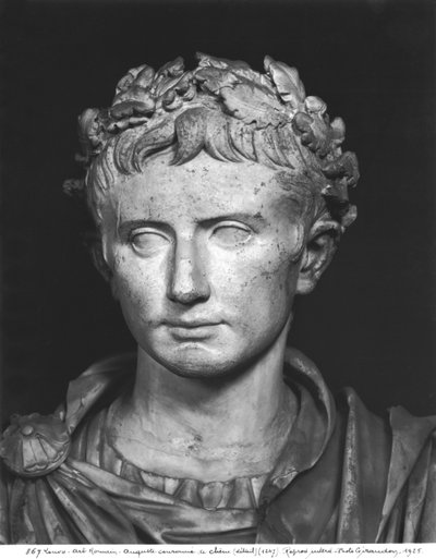 Testa dell