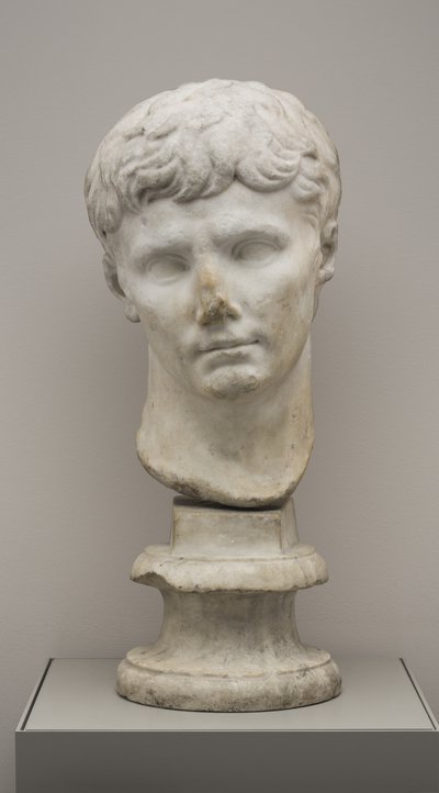 Testa dell