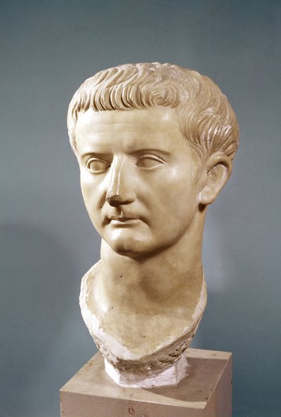 Testa dell