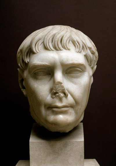 Testa dell