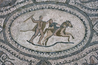 Ercole e la Regina delle Amazzoni, dal pavimento della 