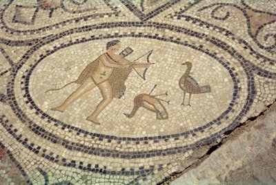 Ercole e gli uccelli stinfalidi, dal pavimento della 