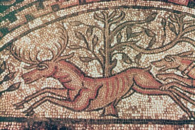 Pavimento di Hinton St. Mary (dettaglio) c.350 d.C. da Roman
