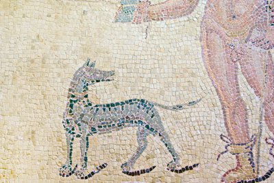 Ippolito e Fedra (dettaglio del cane di Ippolito) da Roman