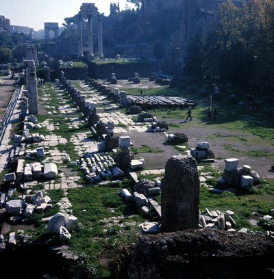 Luogo dove iniziò la Basilica Giulia da Cesare intorno al 54 a.C. e terminata da Augusto - Foro Romano, Roma da Roman
