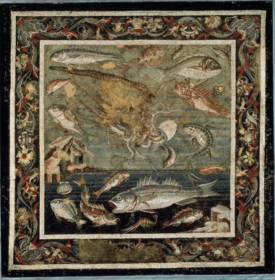 Vita marina da Roman
