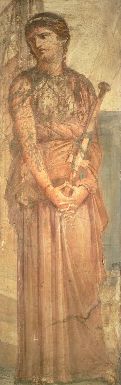 Medea Contempla l