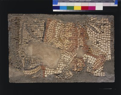 Mosaico dalla Casa di Menandro con Zeus, III - IV secolo da Roman