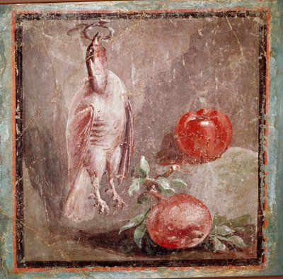 Pernice e melograni da Roman