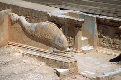 Bassorilievo di un Delfino davanti al Palcoscenico del Teatro Romano (foto) da Roman