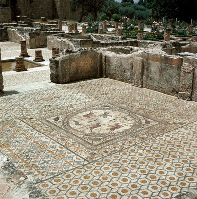 Resti dei mosaici della città romana da Roman