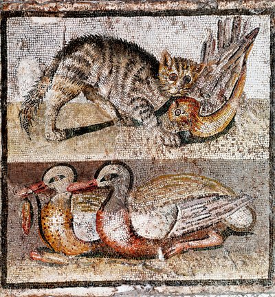 Arte romana: mosaico raffigurante un gatto selvatico che cattura una pernice e due anatre. 200-150 a.C. Roma, Museo Nazionale Romano da Roman