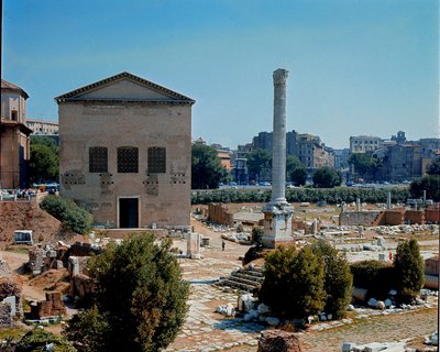Foro Romano: vista della Curia da Roman