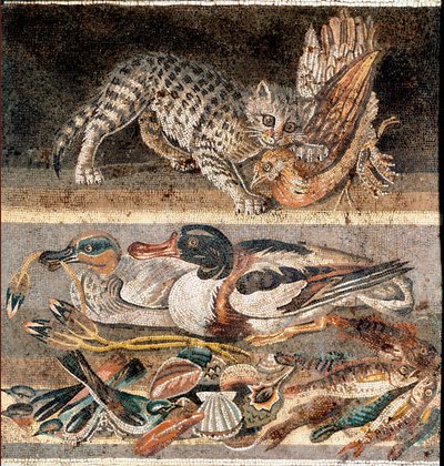 Arte romana: gatto che mangia una pernice e anatre selvatiche da Roman