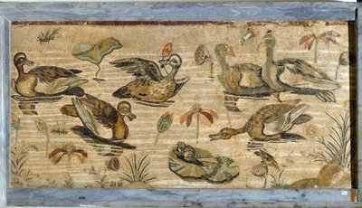 Arte romana: anatra, rana e ninfee in uno stagno da Roman