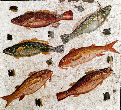 Arte romana: mosaico raffigurante pesci. I secolo a.C. Roma, Museo Nazionale Romano da Roman
