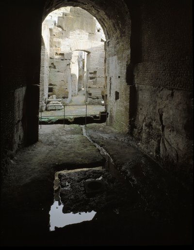 Arte romana: vista dei passaggi sotterranei del Colosseo a Roma, Italia da Roman