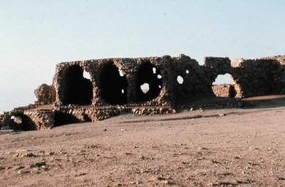 Rovine dell