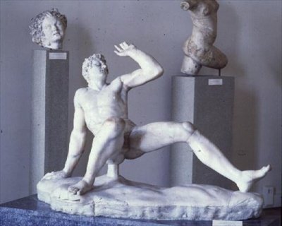 Statua di un Gallo Cadente, copia di un originale della scuola di Pergamo del III secolo a.C. da Roman