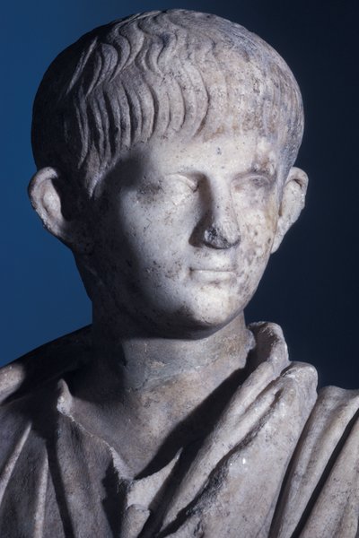 Statua togata del giovane Nerone, vista frontale della testa, c.50 d.C. (dettaglio) da Roman