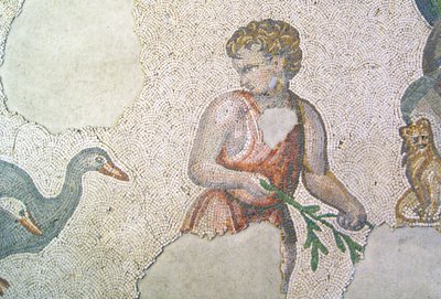 Immagine sconosciuta da Roman