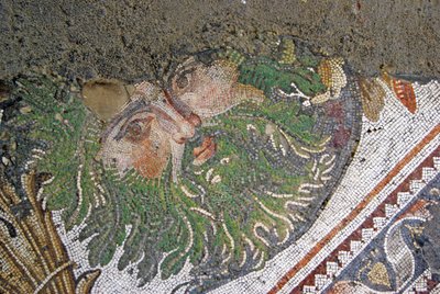 Immagine sconosciuta da Roman