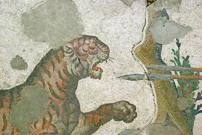Immagine sconosciuta da Roman