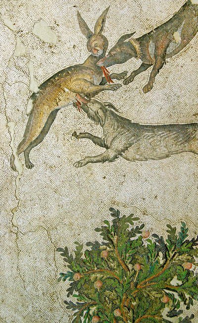Immagine sconosciuta da Roman