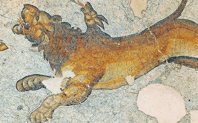 Immagine sconosciuta da Roman