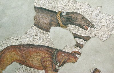 Immagine sconosciuta da Roman