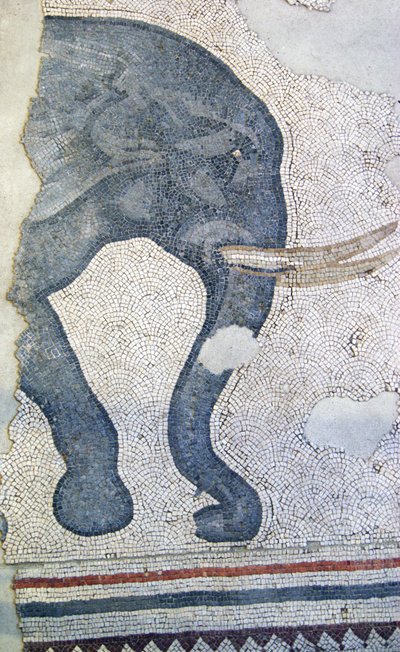 Immagine sconosciuta da Roman
