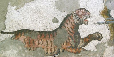 Immagine sconosciuta da Roman
