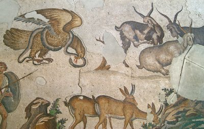 Immagine sconosciuta da Roman
