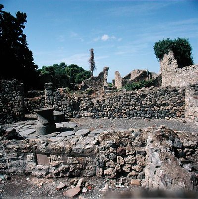 Veduta di case in rovina da Roman