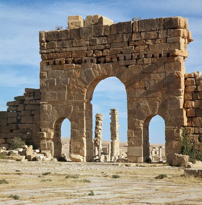 Vista del sito archeologico attraverso la Porta di Antonino da Roman