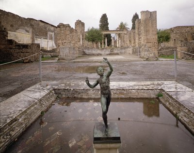 Veduta della Casa del Fauno da Roman