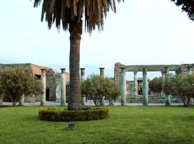 Vista della Casa dei Vettii da Roman