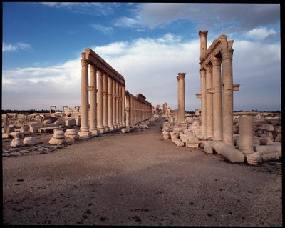 Vista del grande colonnato e dell